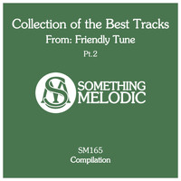 Friendly Tune - Collection of the Best Tracks From: Friendly Tune, Pt. 2