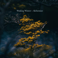 Waking Winter - Alchemize