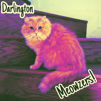 Darlington - Meowzers! (Explicit)