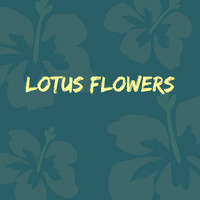 Jox Talay - Lotus Flowers