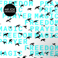 Mr Joe - Liberation