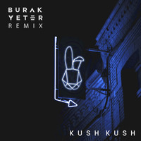 Kush Kush - I'm Blue (Burak Yeter Remix)