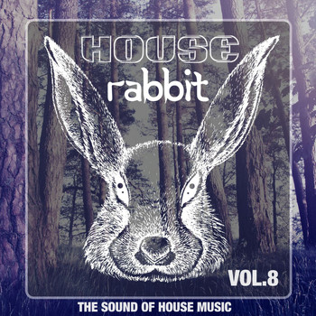 Various Artists - House Rabbit Vol. 8 (The Sound of House Music)