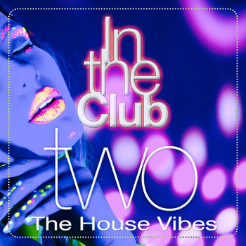 Various Artists - In the Club, Two (The House Vibes)