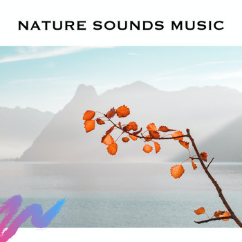 Loopable Radiance - Nature Sounds Music