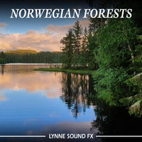 Lynne Sound Fx - Norwegian Forests