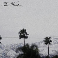 Raven - The Winter
