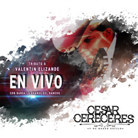 Cesar Cereceres - Tributo A Valentin Elizalde ( En Vivo )