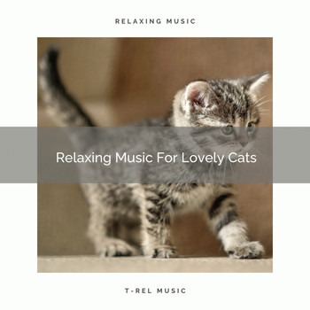 Sleep Cat - Relaxing Music For Lovely Cats