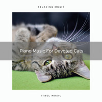 Sleep Cat - Piano Music For Devoted Cats