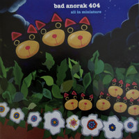 Bad Anorak 404 / - All in Miniature