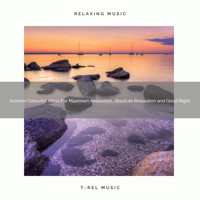Timeless Relax, White Noise Pleasant Sounds, Ambient Nature White Noise - Autumn Colourful Vibes For Maximum Relaxation, Absolute Relaxation and Good Night