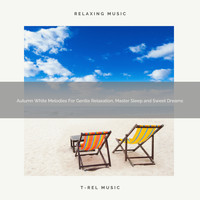 Brown Noise for Happy Day, White Noise Pleasant Sounds, Sounds of Nature Brown Noise Sound Effects - Autumn White Melodies For Gentle Relaxation, Master Sleep and Sweet Dreams