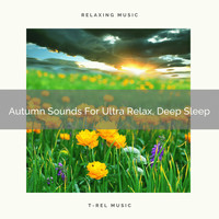 Child Therapy Noise Collection, Be Relaxed White Noise, Relaxing White Noise Collection - Autumn Sounds For Ultra Relax, Deep Sleep
