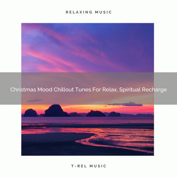 Timeless Relax, White Noise Pleasant Sounds, Ambient Nature White Noise - Christmas Mood Chillout Tunes For Relax, Spiritual Recharge