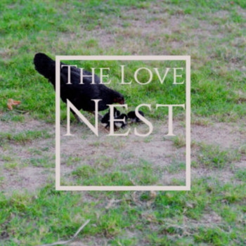 Various Artists - The Love Nest