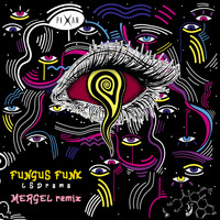 Fungus Funk - LSDrama (Mergel Remix)