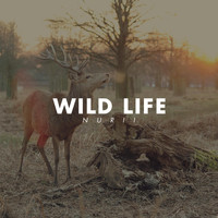 NURII - Wild Life