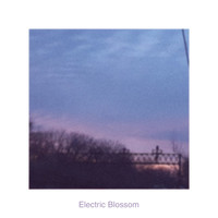 Circuit Hour - Electric Blossom