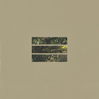 mangoes - sunkissed