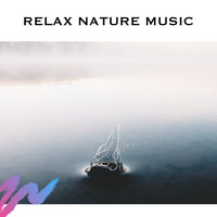 Spa Music Zen Relax Station - Relax Nature Music