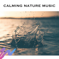 Spa Music Zen Relax Station - Calming Nature Music