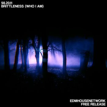 98.20.11 - Brittleness
