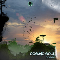 Cosmic Soul - Ocean