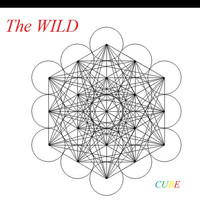 The Wild - Cube