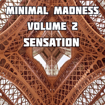 Various Artists - Minimal Madness Sensation Vol.2 (BEST SELECTION OF MINIMAL CLUB TRACKS)