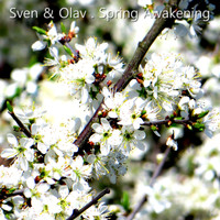 Sven & Olav - Spring Awakening (Radio Mix)