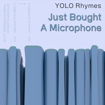 YOLO Rhymes - Just Bought a Microphone