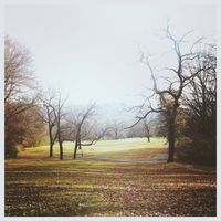 Molly Parden - Rosemary