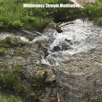 Water Sounds for Sleep - Wilderness Stream Meditative