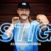STIG - Kuningaskobra (Vain elämää kausi 11)
