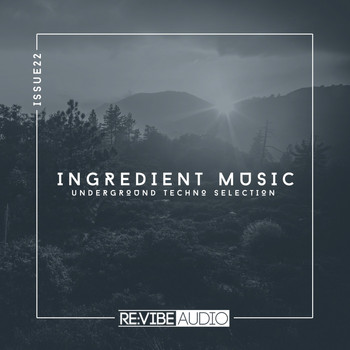 Various Artists - Ingredient Music, Vol. 22