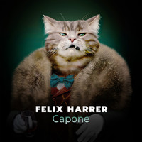Felix Harrer - Capone (Extended Mix)