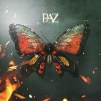 Paz - Paz