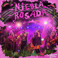 Los Tabaleros - Niebla Rosada (En Vivo)