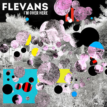 Flevans - I'm over Here