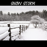 Brass Flask / - Snow Storm