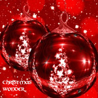 Moulton Berlin Orchestra / - Christmas Wonder
