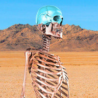 Stranger - Bone Desert