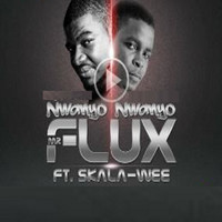 Mr Flux - Nwanyo Nwanyo