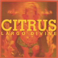 Citrus - Largo Divine