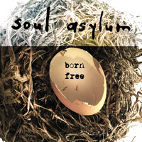 Soul Asylum - Born Free (Acoustic)