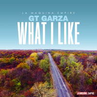 GT Garza - What I Like (Explicit)