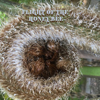 Sufy / - Flight of the Honey Bee
