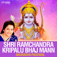 Anuradha Paudwal - Shri Ramchandra Kripalu Bhaj Mann - Single