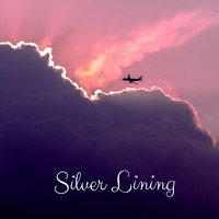Libra Cuba - Silver Lining